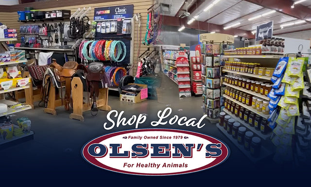 A pet store interior featuring saddles, pet accessories, and shelves stocked with animal supplies. A sign reads, "Shop Local Olsen's For Healthy Animals."