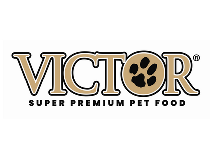 Silver Sponsor