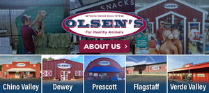 "Collage of Olsen's For Healthy Animals locations with images of staff, pets, and storefronts. Includes store locations in Chino Valley, Dewey, Prescott, Flagstaff, and Verde Valley. Central banner reads 'Family Owned Since 1979 – Olsen’s For Healthy Animals' with a maroon 'About Us' button.