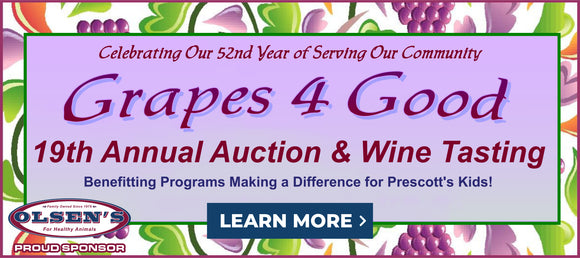 Banner for the 19th Annual 