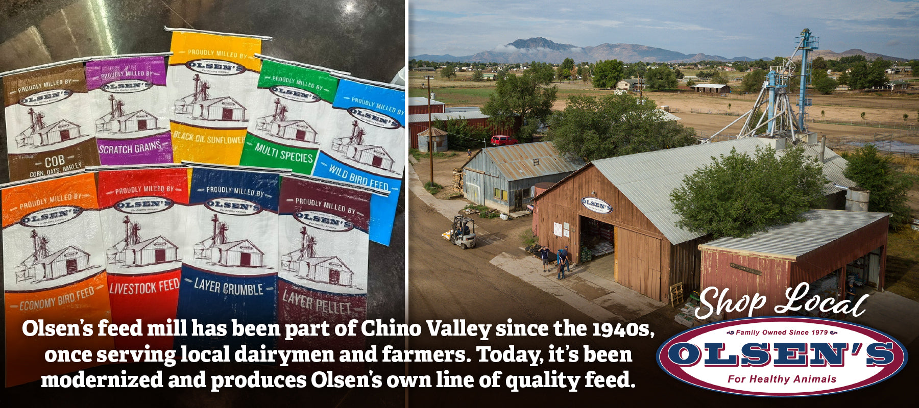 Promotional image for Olsen’s Feed Mill in Chino Valley, showing a variety of colorful feed bags labeled “Proudly Milled by Olsen’s” and an aerial view of the mill buildings with surrounding farmland. Text highlights the mill’s history since the 1940s and its modern role producing Olsen’s own line of quality feed. Includes “Shop Local” message and Olsen’s logo.
