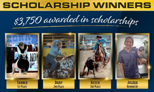 Scholarship winners