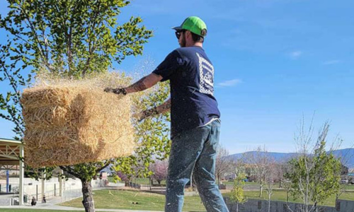 Olsen Grain staff throwing a hay bale