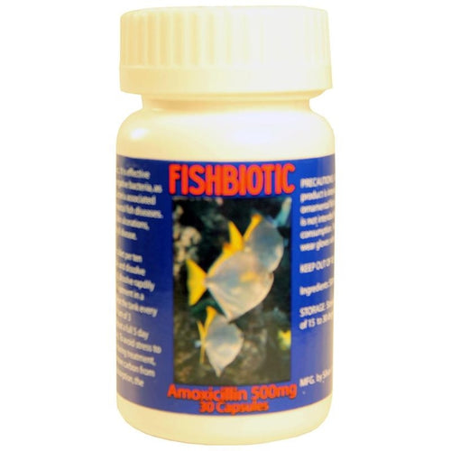 FISHBIOTIC AMOXICILLIN CAPSULES (500 MG-30CT) - Serving Arizona