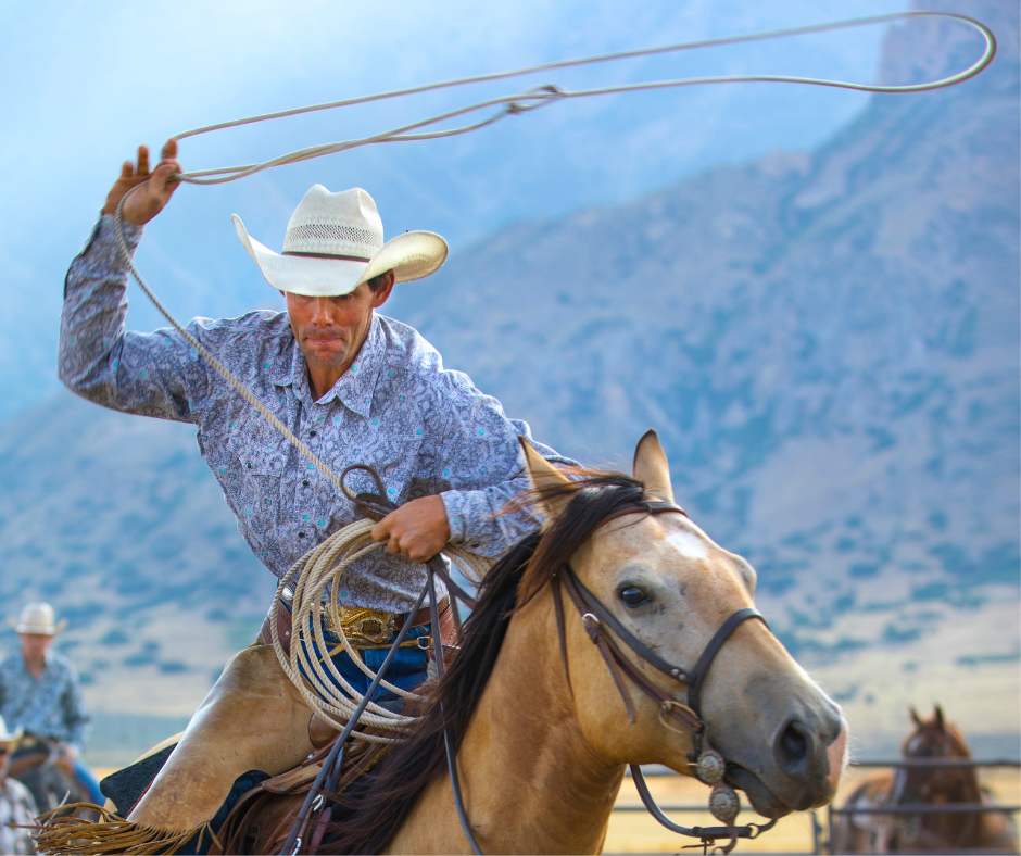 Roping Cowboy Olsens For Healthy Animals